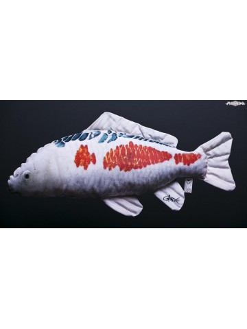 Kapr Koi 5 (sushui) - 60 cm...