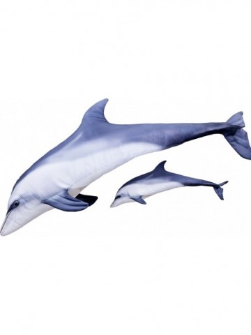 Delfín skákavý mini - 55 cm...