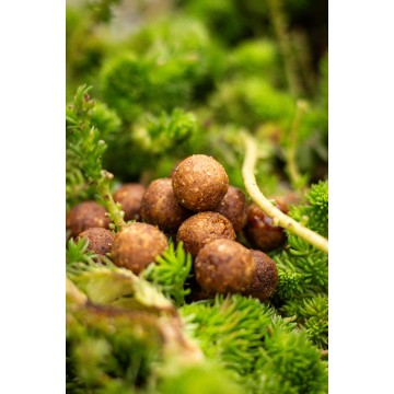 Dipované Boilies Tuning-Baits Moncha / 20 mm /...