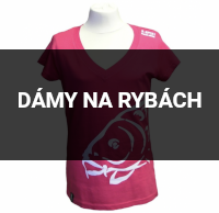 DAMY